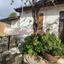 2 bedroom detached house for sale kalo chorio lemesou limassol 8759131 thumbnail 16533057