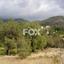 land for sale pera pedi limassol 7926131 thumbnail 11361512