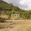 land for sale pera pedi limassol 7926131 thumbnail 11361515