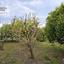 4 bedroom detached house for sale nisou nicosia 8437231 thumbnail 16137279