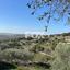 land for sale psathi paphos 1270231 thumbnail 10032372