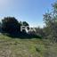 land for sale psathi paphos 1270231 thumbnail 10032376
