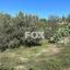 land for sale psathi paphos 1270231 thumbnail 10032382