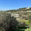 land for sale psathi paphos 1270231 thumbnail 10032386