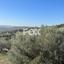 land for sale psathi paphos 1270231 thumbnail 10032387
