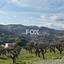 2 bedroom bungalow for rent doros limassol 8554331 thumbnail 15551460