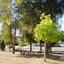 3 bedroom apartment for sale larnaca municipality larnaca 7906331 thumbnail 16561374