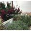 4 bedroom detached house for sale kallithea nicosia 7463331 thumbnail 12651197
