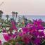 3 bedroom detached house for rent pyrgos limassol limassol 7592431 thumbnail 14925811