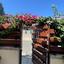 3 bedroom detached house for rent pyrgos limassol limassol 7592431 thumbnail 14925821