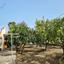 4 bedroom detached house for sale psevdas larnaca 8343431 thumbnail 17354888