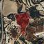land for sale drousia paphos 1624431 thumbnail 16009998