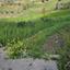 land for sale drynia paphos 7839431 thumbnail 15596525