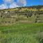 land for sale drynia paphos 7839431 thumbnail 15596526