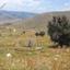 land for sale pentalia paphos 8629531 thumbnail 16717875