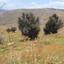 land for sale pentalia paphos 8629531 thumbnail 16717877
