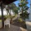 2 bedroom semi detached house for sale meneou larnaca 8858631 thumbnail 17154545