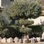 5 bedroom detached house for sale akrounta limassol 1929631 thumbnail 7576053