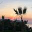 7 bedroom detached house for sale latsi paphos 8249631 thumbnail 14060869
