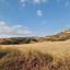 land for sale moni limassol 8665631 thumbnail 16007163