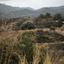 land for sale zoopigi limassol 8156631 thumbnail 13484693