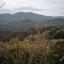 land for sale zoopigi limassol 8156631 thumbnail 13484694