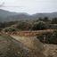 land for sale zoopigi limassol 8156631 thumbnail 13484696