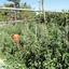 plot for sale spilia nicosia 1152631 thumbnail 5159276