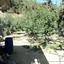 plot for sale spilia nicosia 1152631 thumbnail 5159287