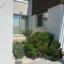 3 bedroom detached house for rent kato paphos universal paphos 8846731 thumbnail 17749535