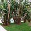 3 bedroom detached house for sale pano lakatamia nicosia 1189731 thumbnail 5174136