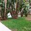 3 bedroom detached house for sale pano lakatamia nicosia 1189731 thumbnail 5174137