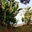 3 bedroom detached house for sale pano lakatamia nicosia 1189731 thumbnail 5174146