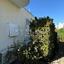 4 bedroom detached house for sale tseri nicosia 1600731 thumbnail 5918736
