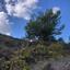 land for sale kellaki limassol 943731 thumbnail 1860879