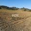 land for sale monagroulli limassol 1146731 thumbnail 14152429