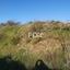 land for sale monagroulli limassol 1146731 thumbnail 14152431