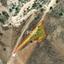 land for sale peyia paphos 1159731 thumbnail 14827228