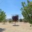 3 bedroom detached house for sale agios therapon limassol 8747831 thumbnail 16457255