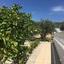 4 bedroom detached house for sale parekklisia limassol 646831 thumbnail 1905618