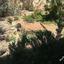 4 bedroom detached house for sale parekklisia limassol 646831 thumbnail 1905627