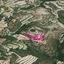 land for sale koili paphos 8629831 thumbnail 15870021