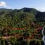 plot for sale klirou nicosia 1650931 thumbnail 5679774
