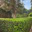 2 bedroom apartment for rent linopetra limassol 8941041 thumbnail 17742987