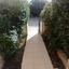 3 bedroom detached house for rent pano lakatamia nicosia 8875041 thumbnail 17234078