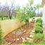 4 bedroom detached house for sale polemi paphos 7792041 thumbnail 10455129