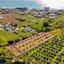 land for sale dekeleia larnaca 1792041 thumbnail 14321966