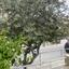 4 bedroom detached house for sale acropolis nicosia 1540141 thumbnail 5203104