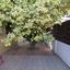4 bedroom detached house for sale aradippou larnaca 7771141 thumbnail 14312489