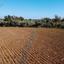 land for sale xylofagou larnaca 1637141 thumbnail 15839230